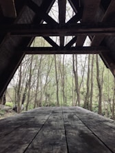 A rustic wooden platform under a triangular roof, surrounded by leafless trees and lush green foliage in the background.