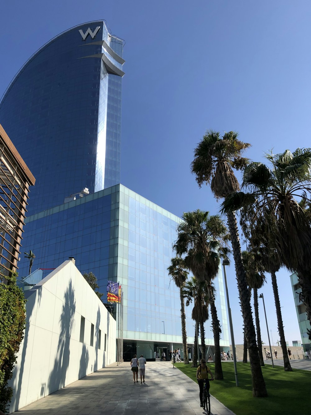 green palm trees near white concrete building during daytime