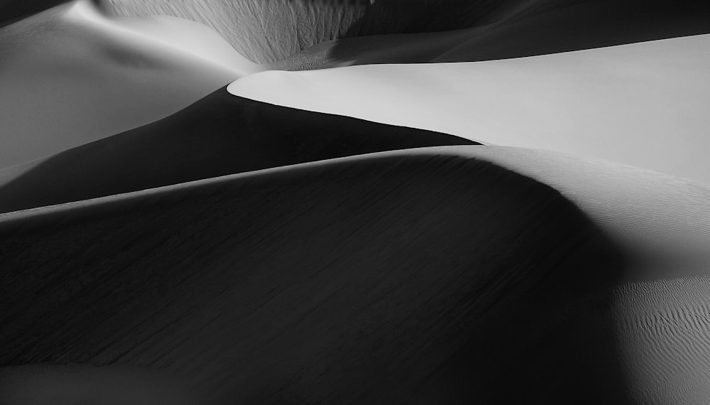 Foto en escala de grises de un desierto