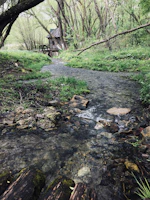 A calm river flowing beside a cozy cabin where energy healing takes place.