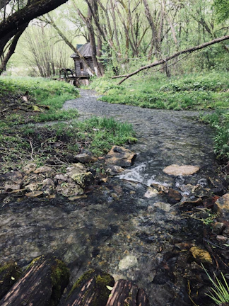 Gentle stream flowing beside a secluded retreat cabin nestled in nature.