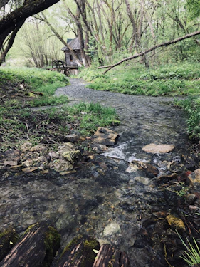 A calm river flowing beside a cozy cabin where energy healing takes place.