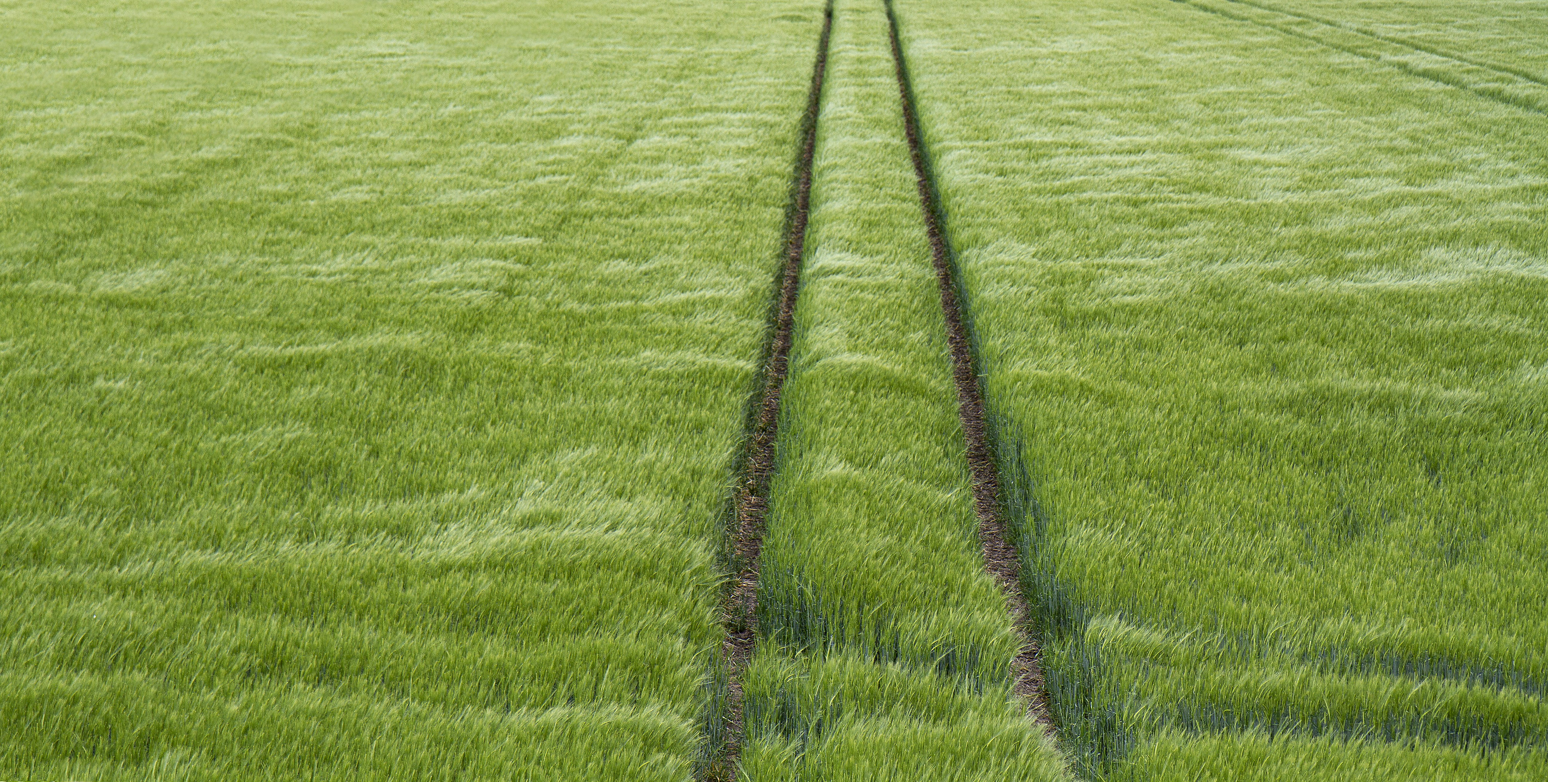 Photo by michaelkroul