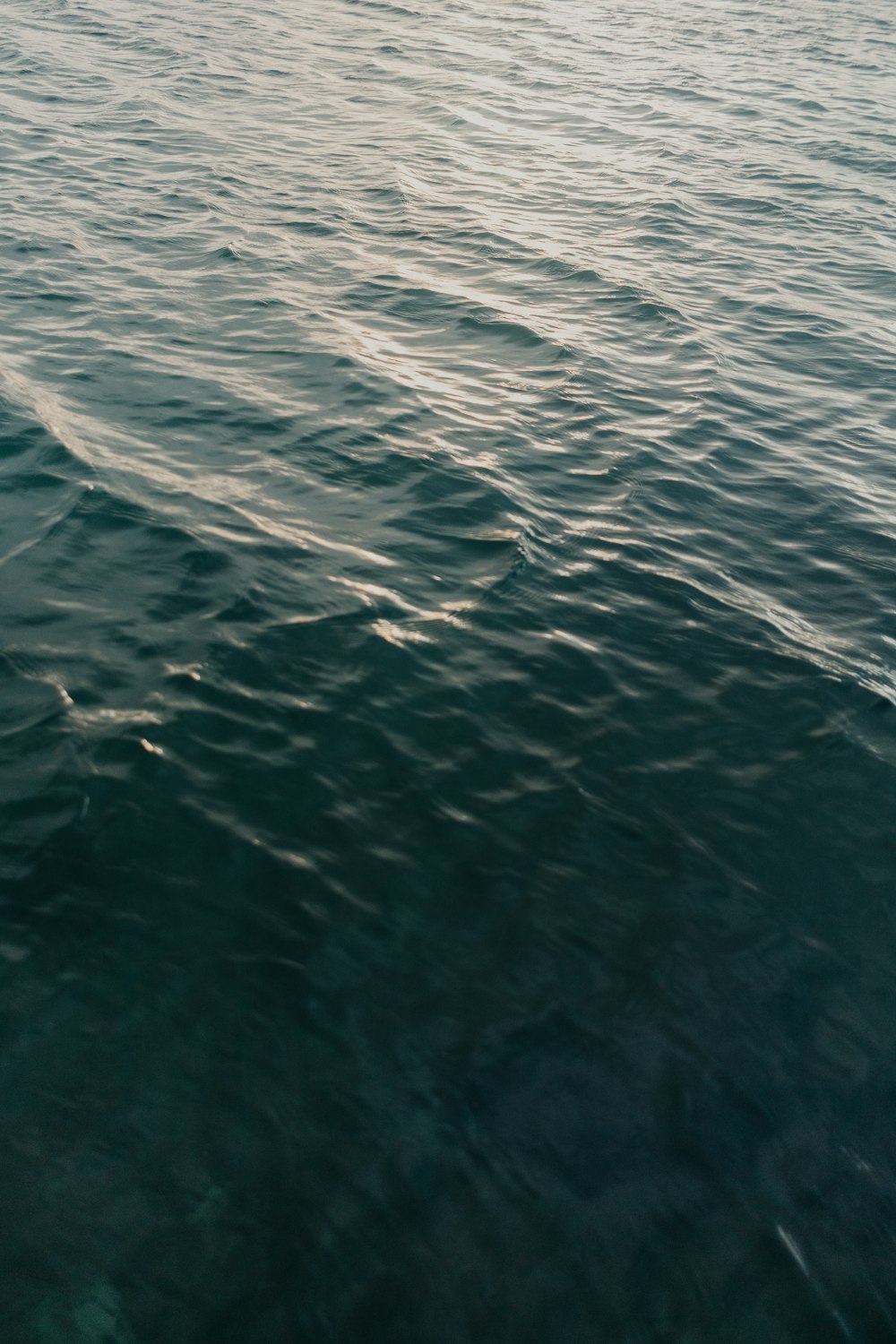 blue body of water during daytime