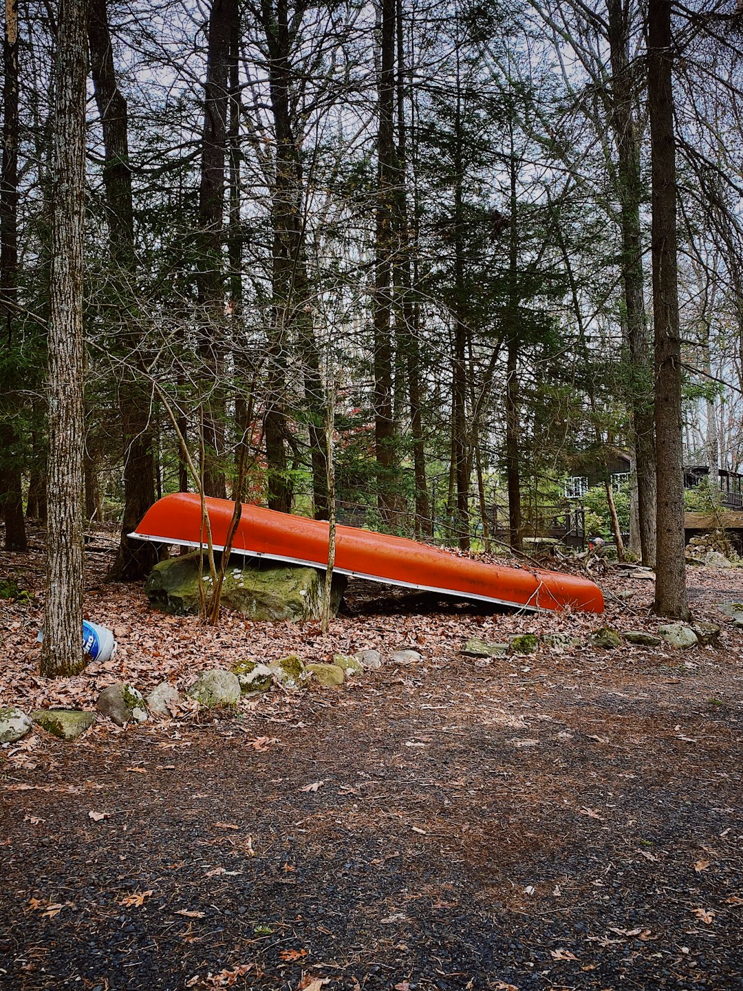 orange kayak on brown soil surrounded by trees during daytime