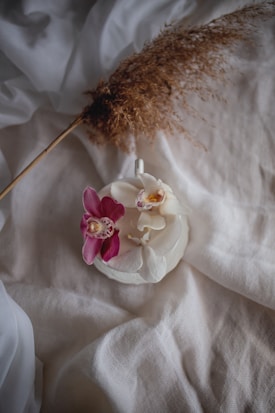 A delicate arrangement featuring a small white candle adorned with pink and white orchid flowers resting on soft white fabric. To the side, a dried brown reed adds a rustic touch, creating a contrast with the elegant florals.