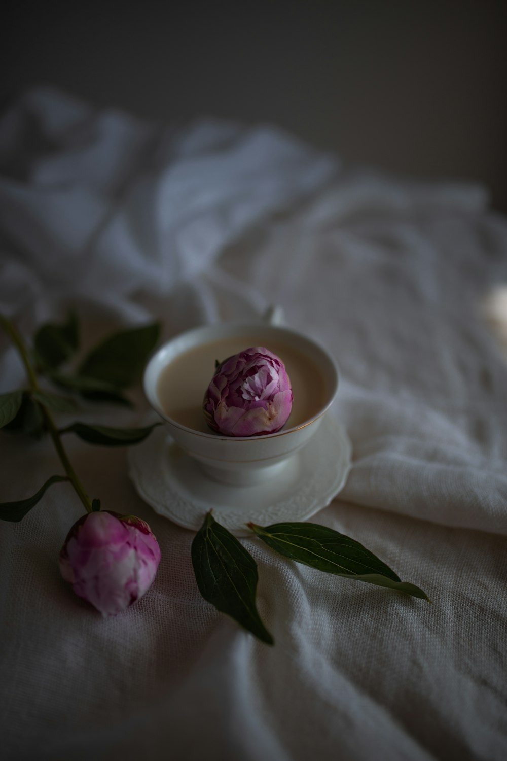 pink rose on white ceramic saucer