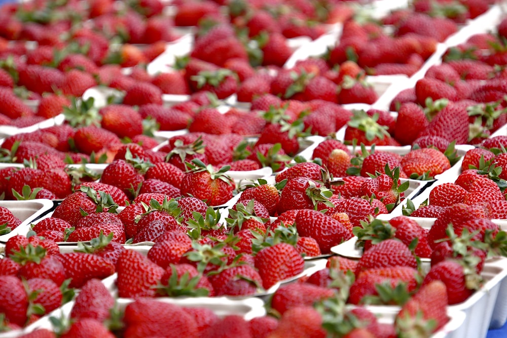 red strawberries on white ceramic plate