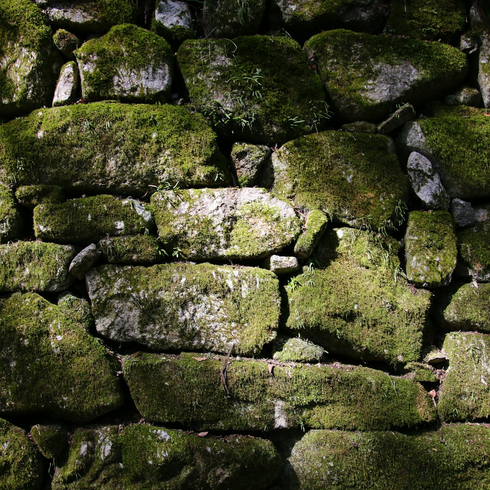 green moss on gray rocks