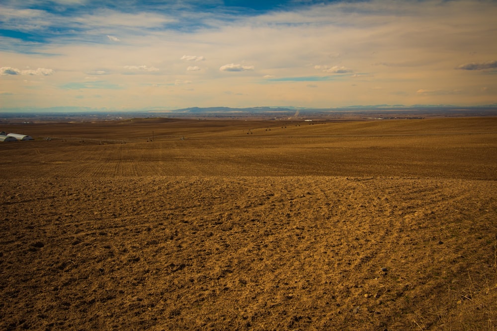 brown field under blue sky during daytime