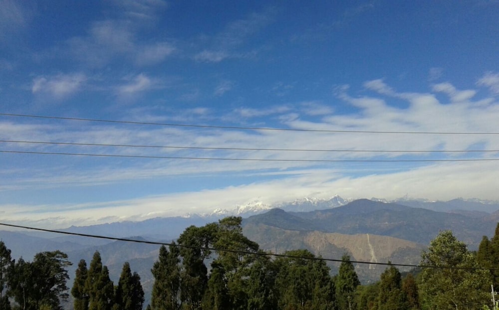 green trees on mountain under blue sky during daytime