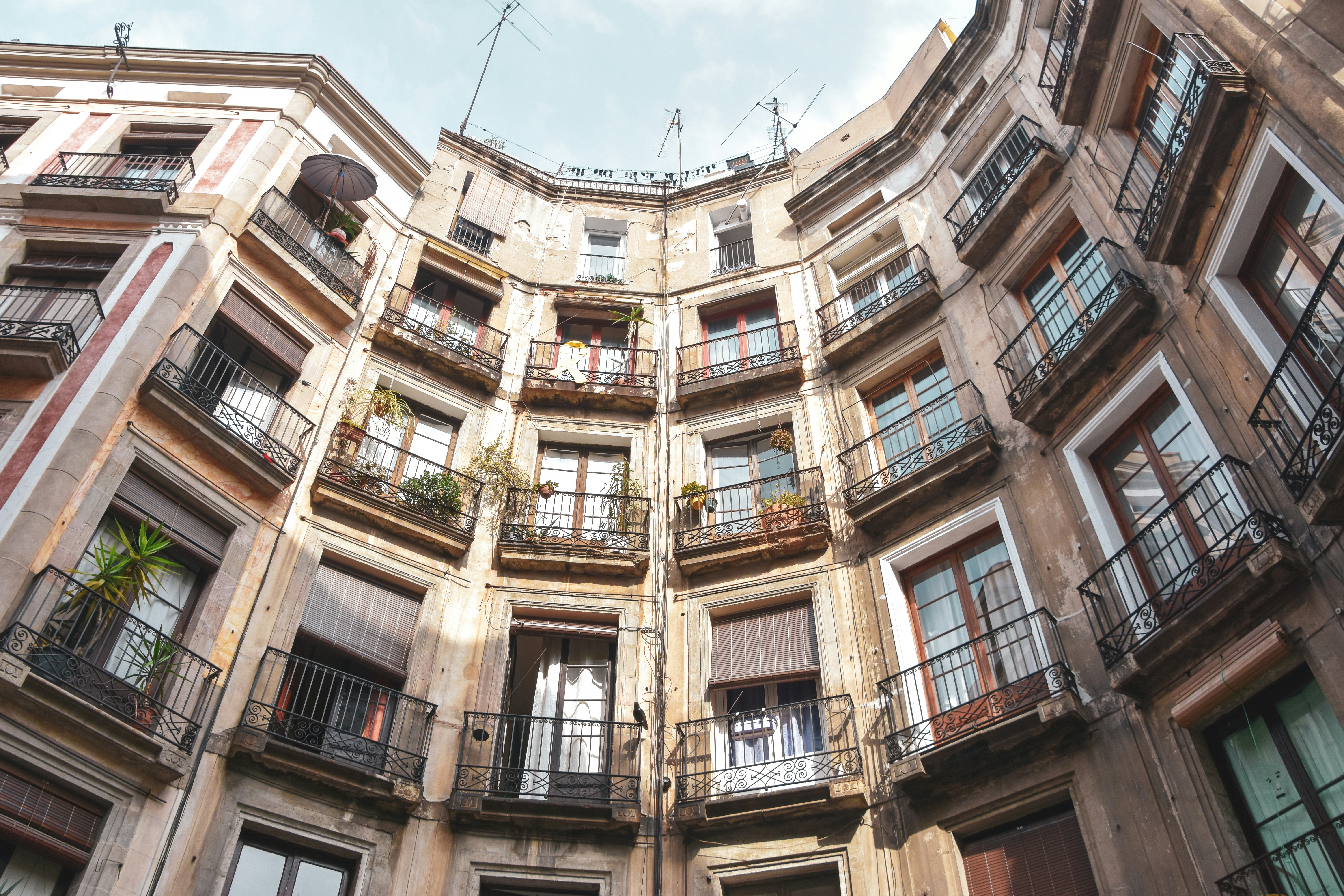 Photo by nishimiyaphotography