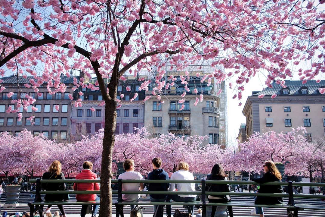 Landmark photo spot Stockholm Slussen