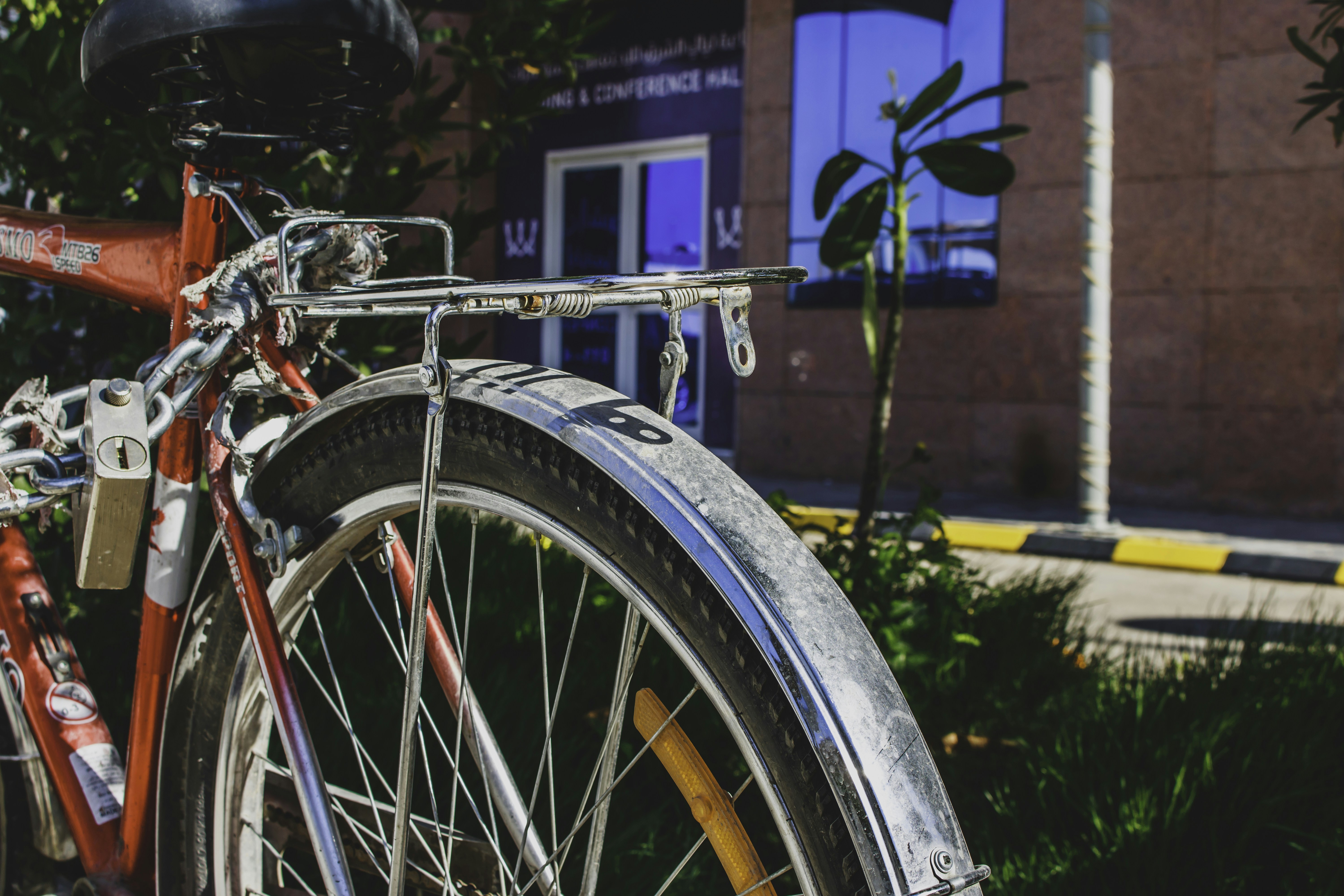 Black bicycle wheel near green plants during daytime photo Free