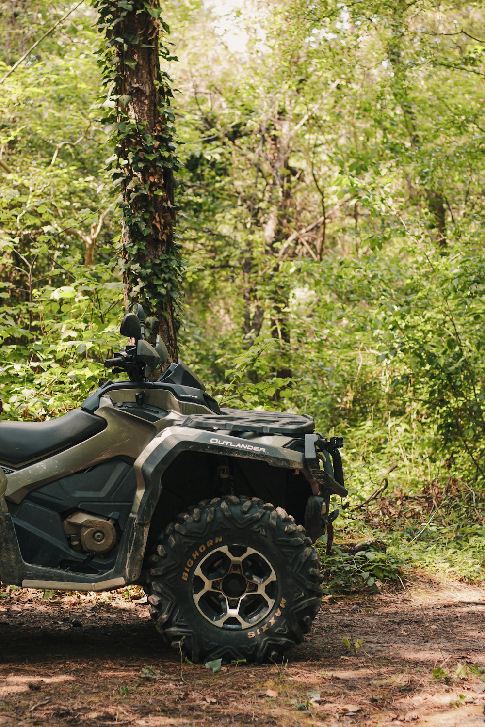 black and gray atv in forest during daytime