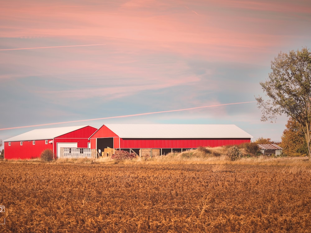 red and white barn house on brown grass field during daytime