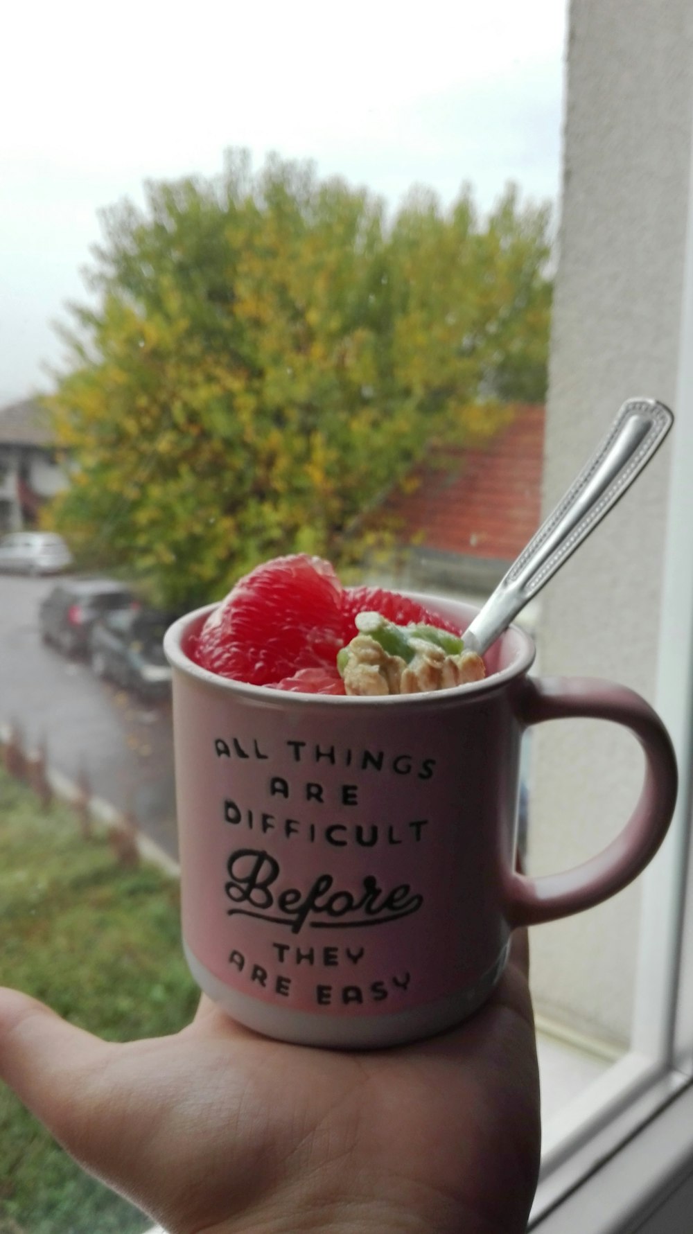 strawberry and raspberry in pink ceramic mug