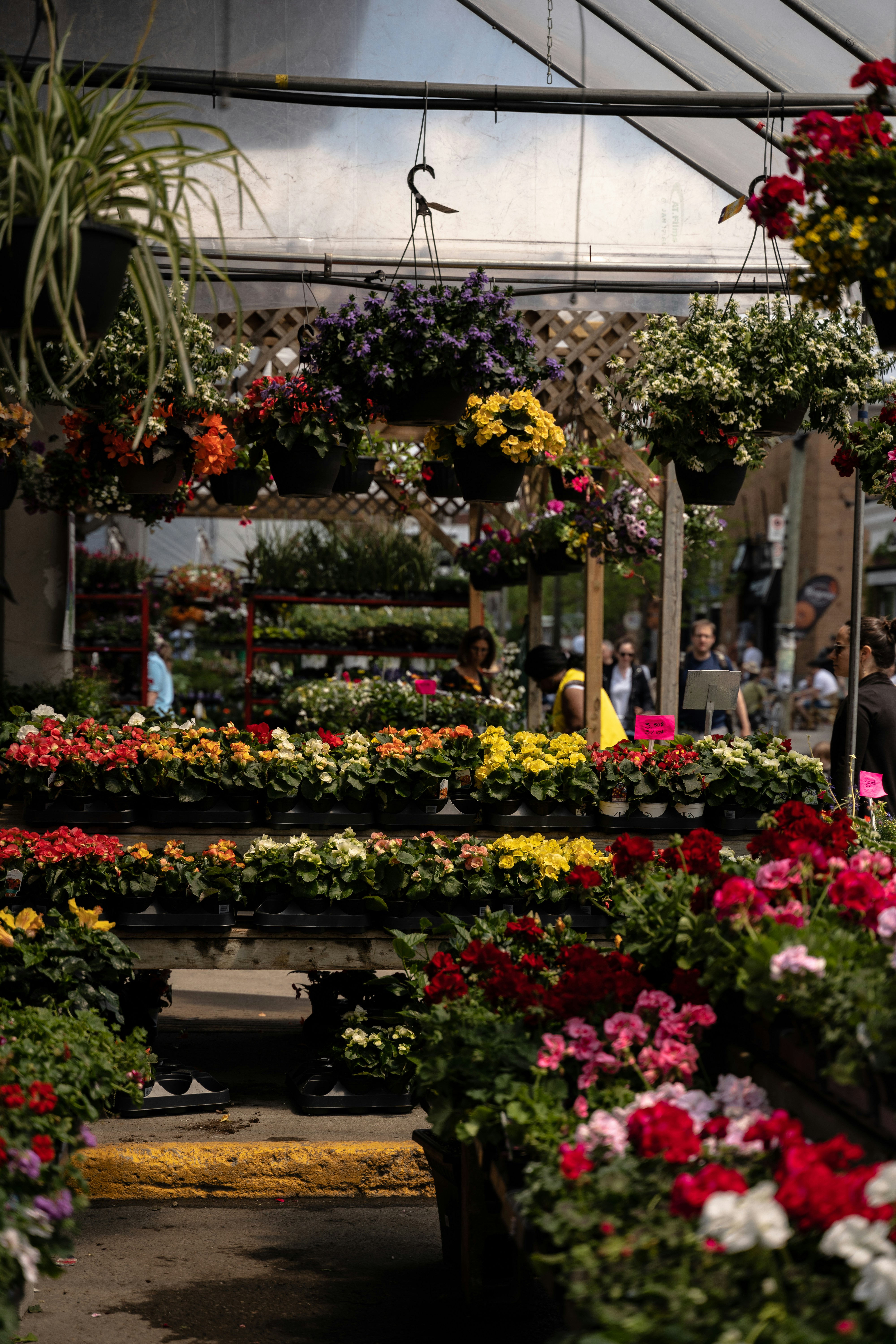 Photo by thomaslrdeau