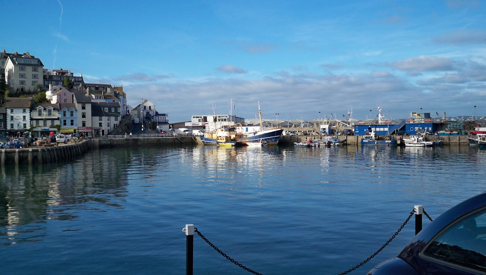 white and black boat on sea during daytime