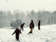 Children playing in a field of snow-covered trees.