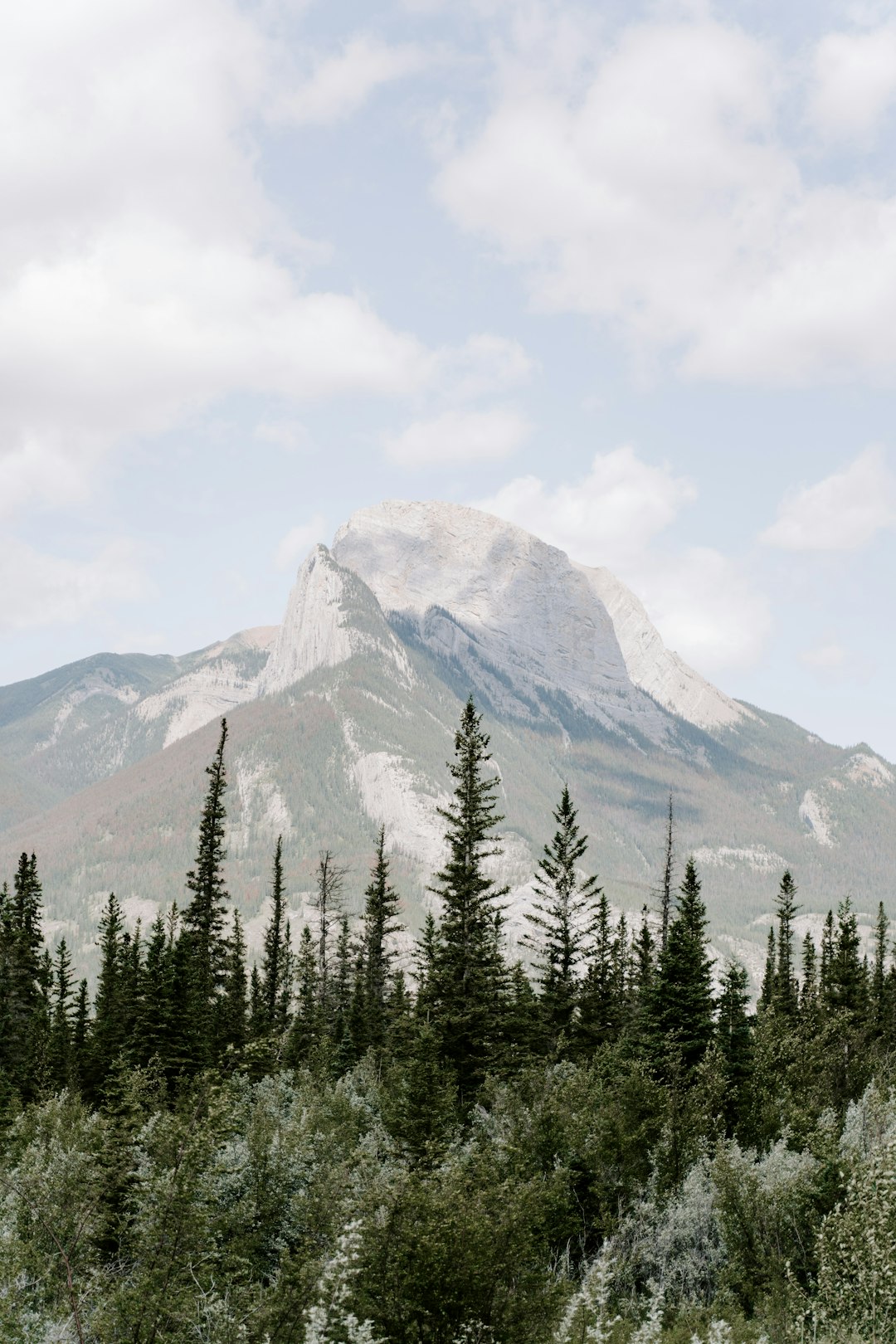 green pine trees near mountain under white clouds during daytime