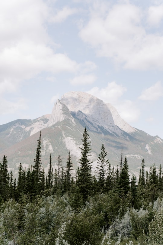 green pine trees near mountain under white clouds during daytime in Jasper National Park Of Canada Canada