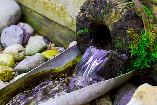 Water flows from a hollow log into a metal trough, surrounded by moss and a variety of stones. The scene is natural and rustic, with the wood showing signs of age and the moss adding a vibrant green color to the otherwise earthy tones.
