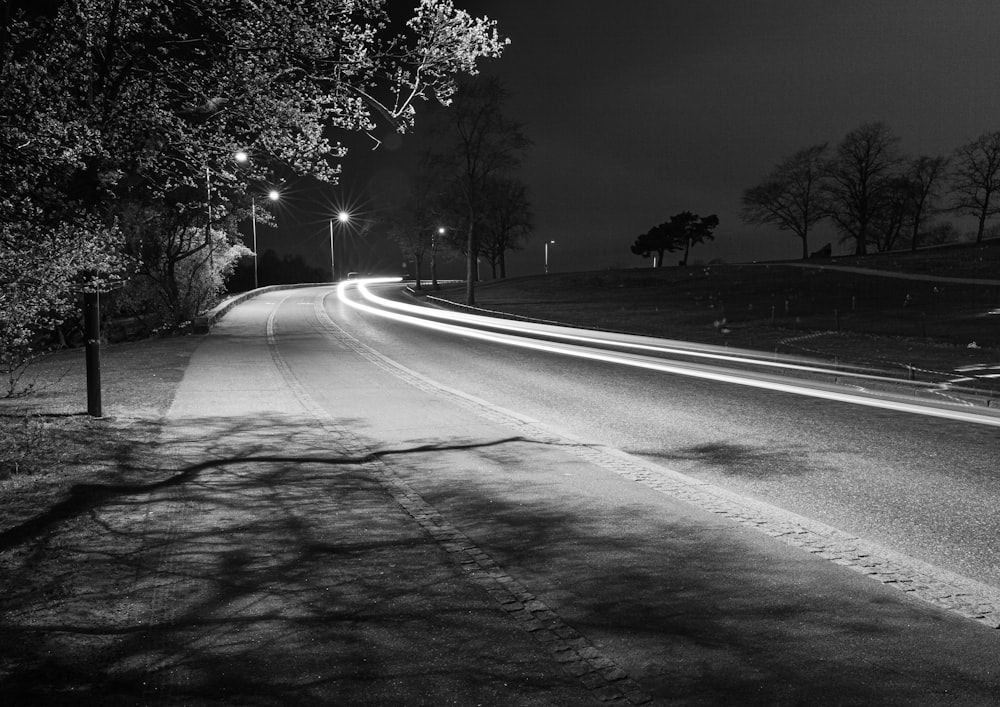 나무 사이의 도로의 회색조 사진
