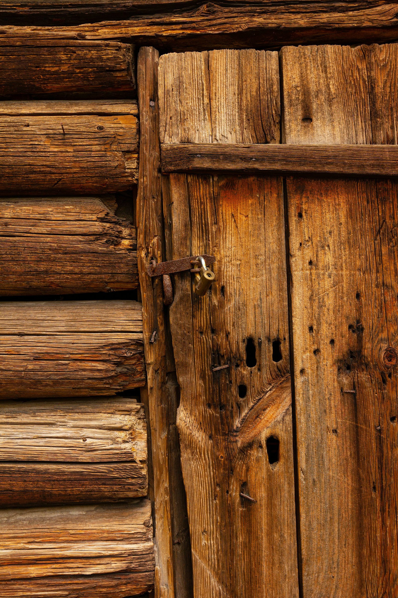 Canon EOS 60D + Canon EF 16-35mm F4L IS USM sample photo. Brown wooden door with photography