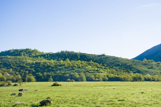 green grass field and green trees during daytime in Daryasar Iran