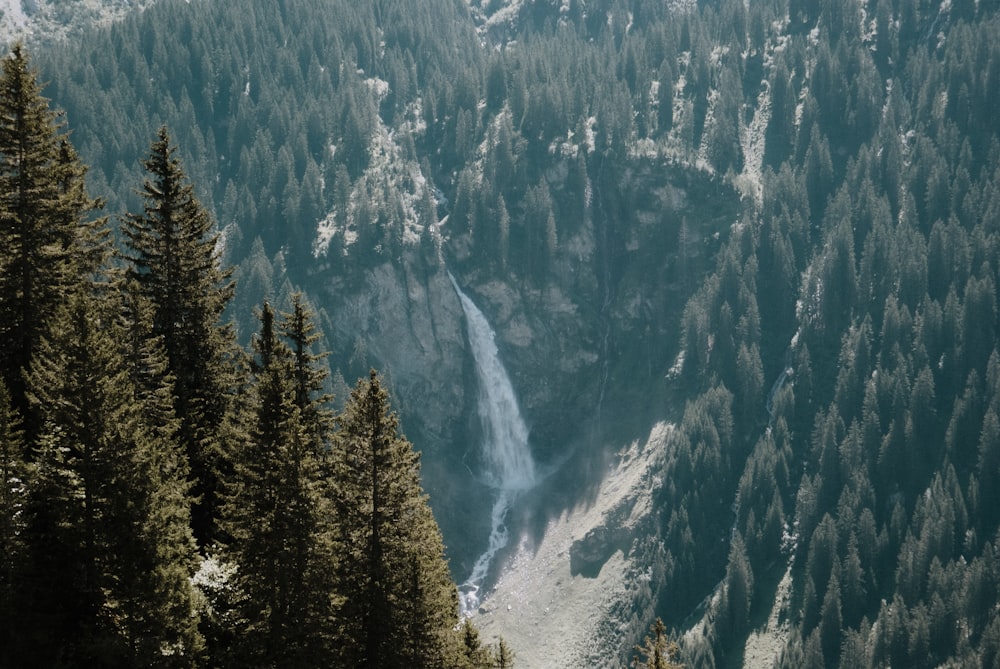 green pine trees on mountain during daytime