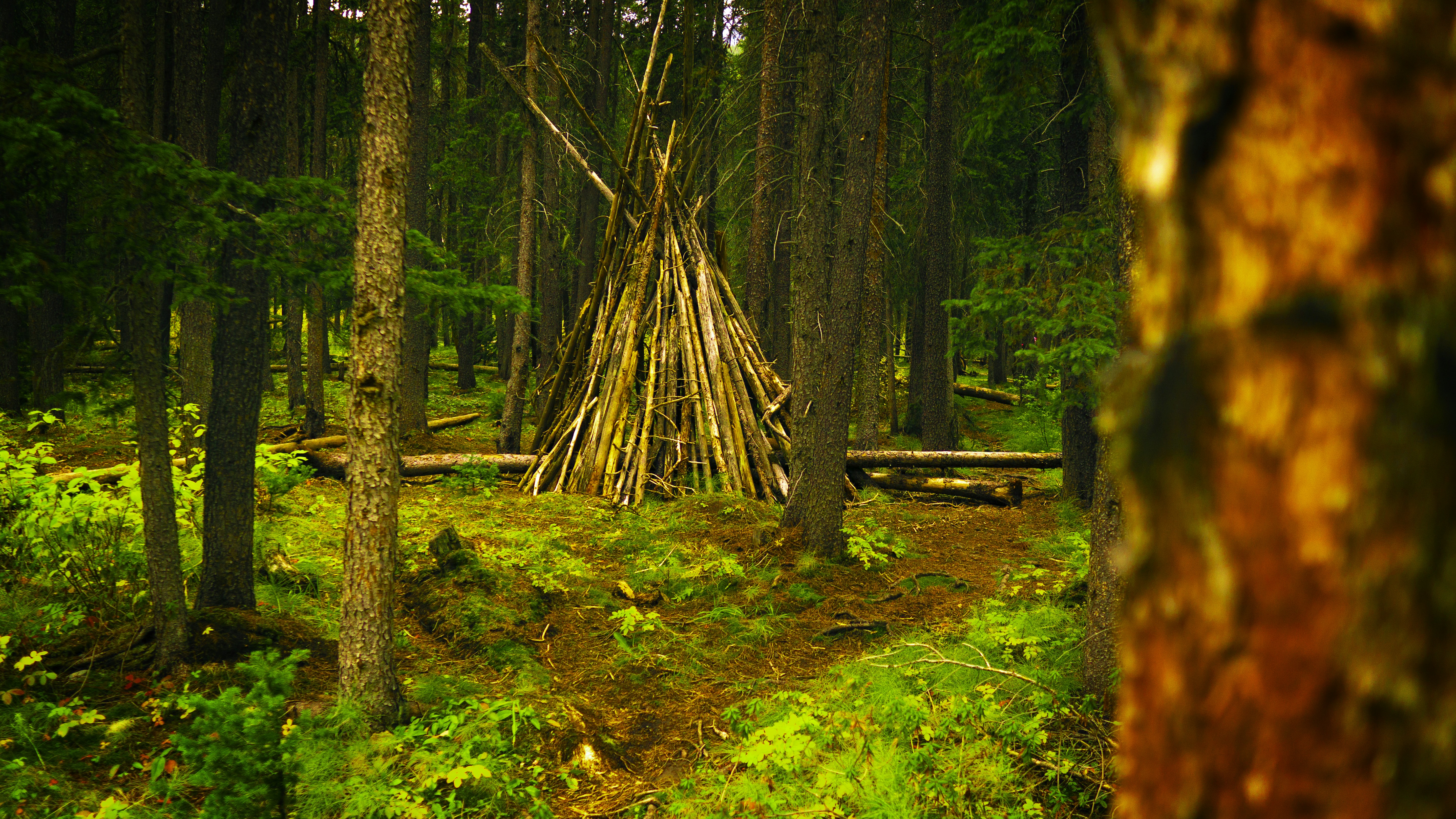 Insulating a Winter Survival Shelter: Keep Warm or Die Trying