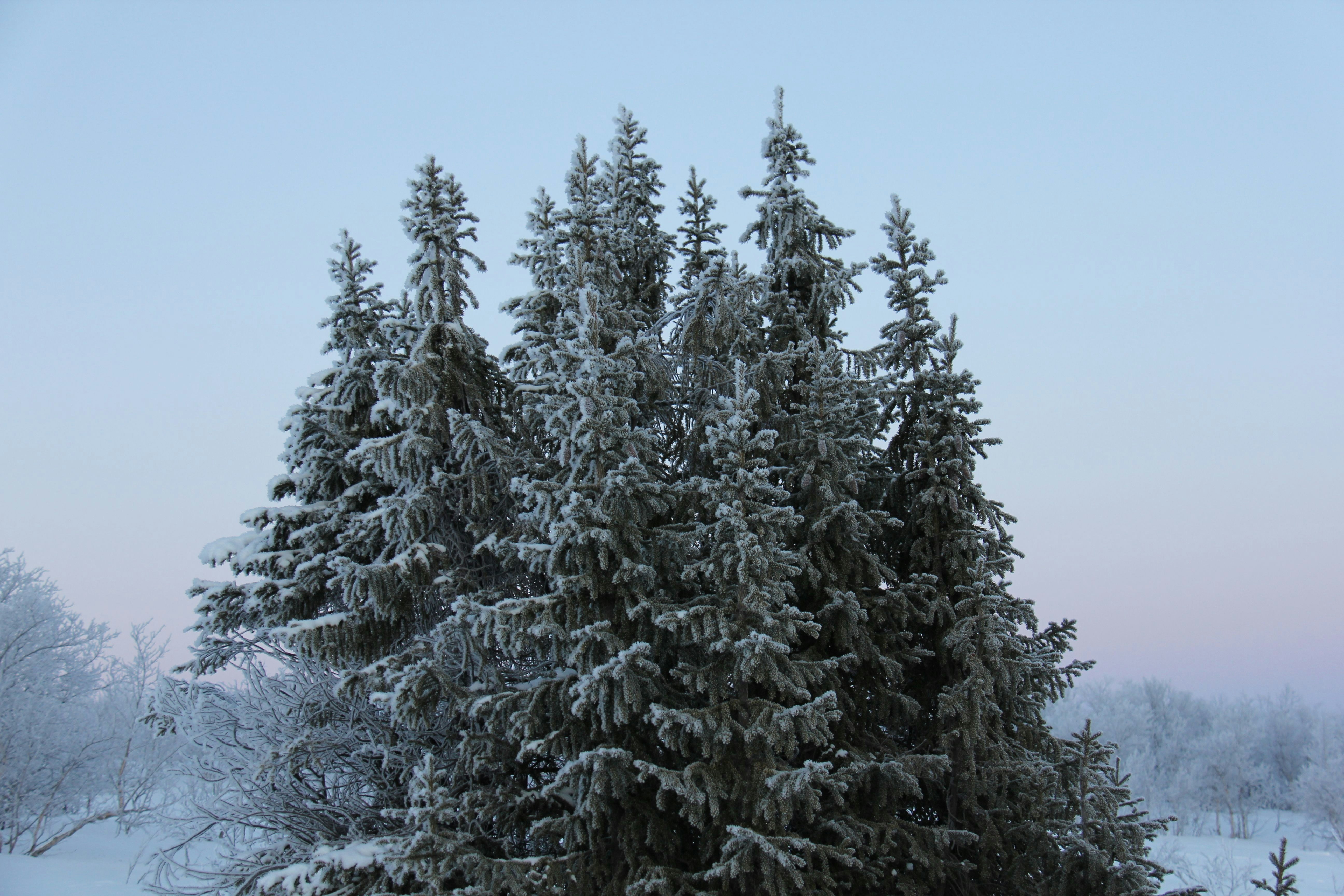 Photo by victoriarusso