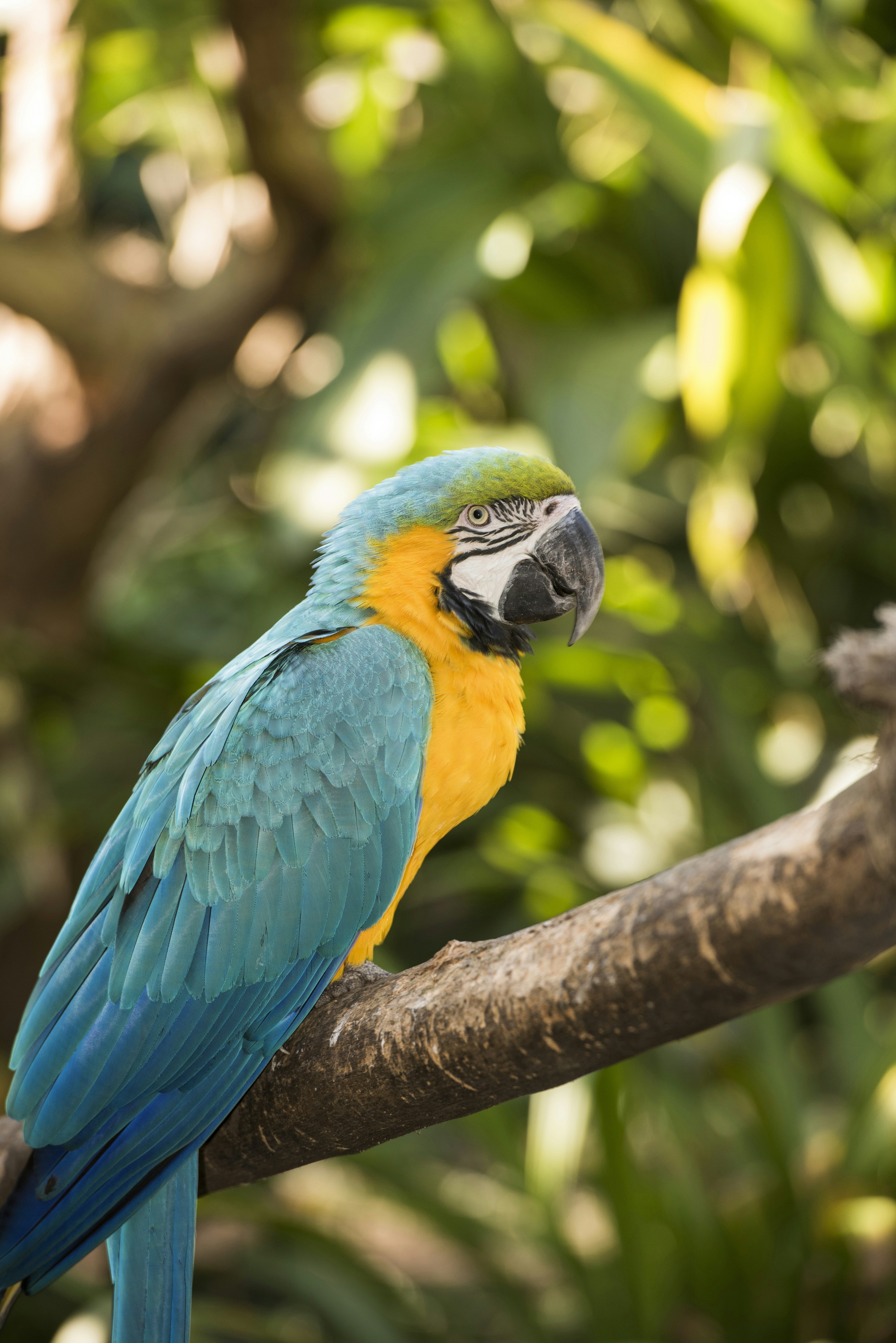 Photo by martinguido