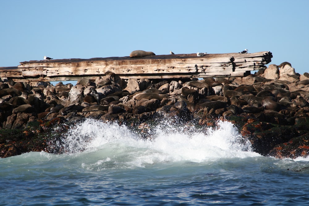 sea waves crashing on rocks under blue sky during daytime