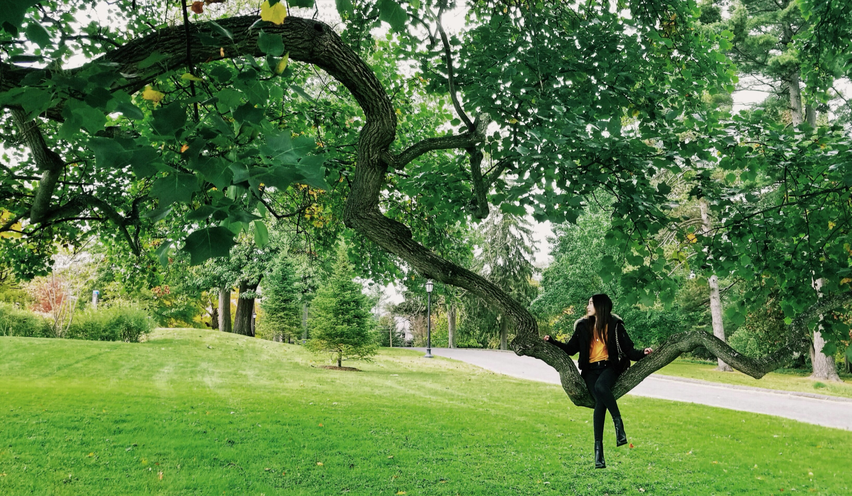 woman in black jacket and black pants standing on green grass field during daytime