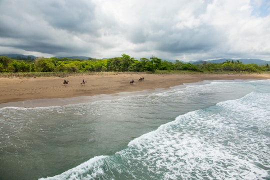 green trees near body of water during daytime in Guanacaste Province Costa Rica