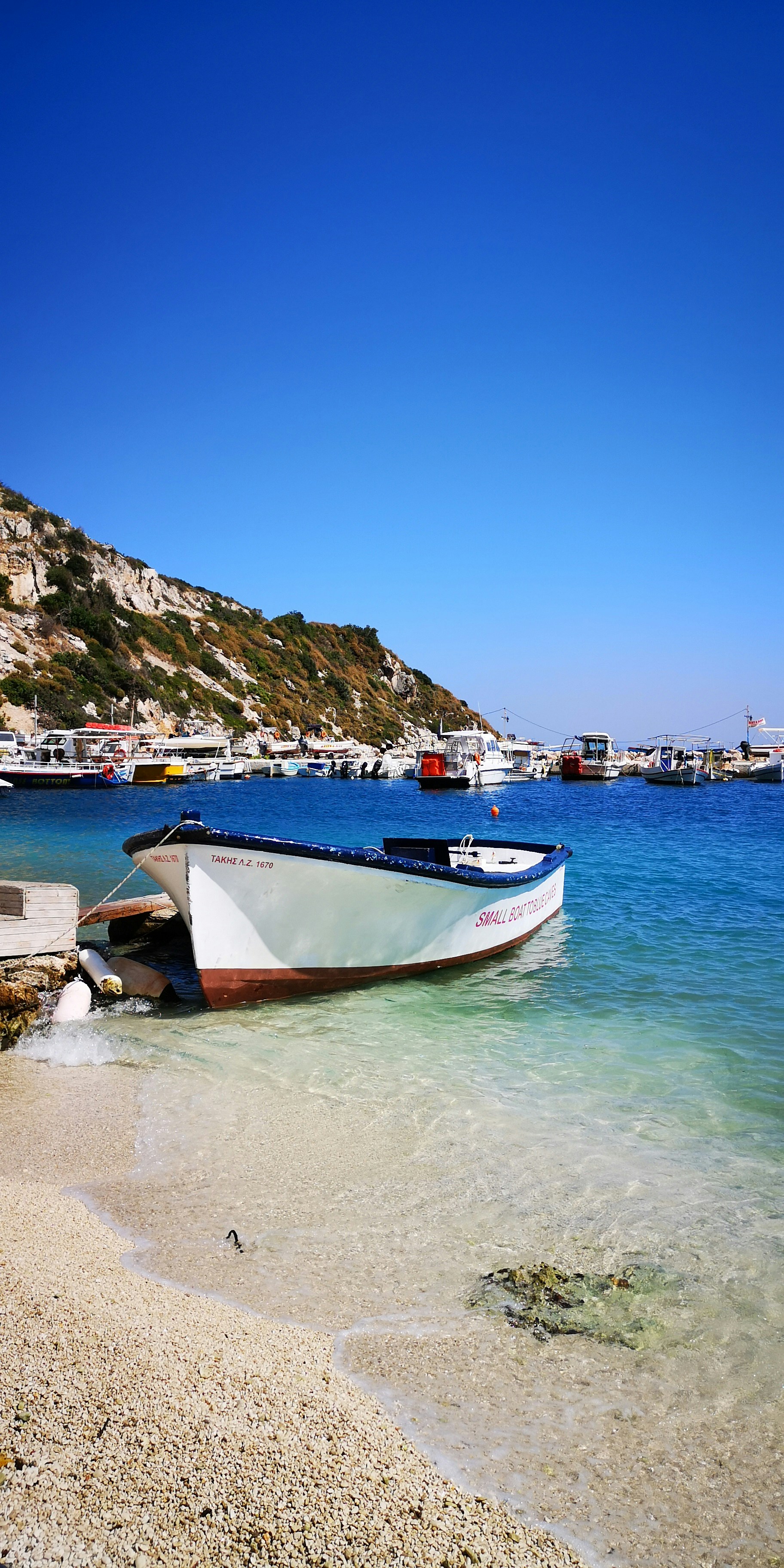 Photo by knuckles_echidna