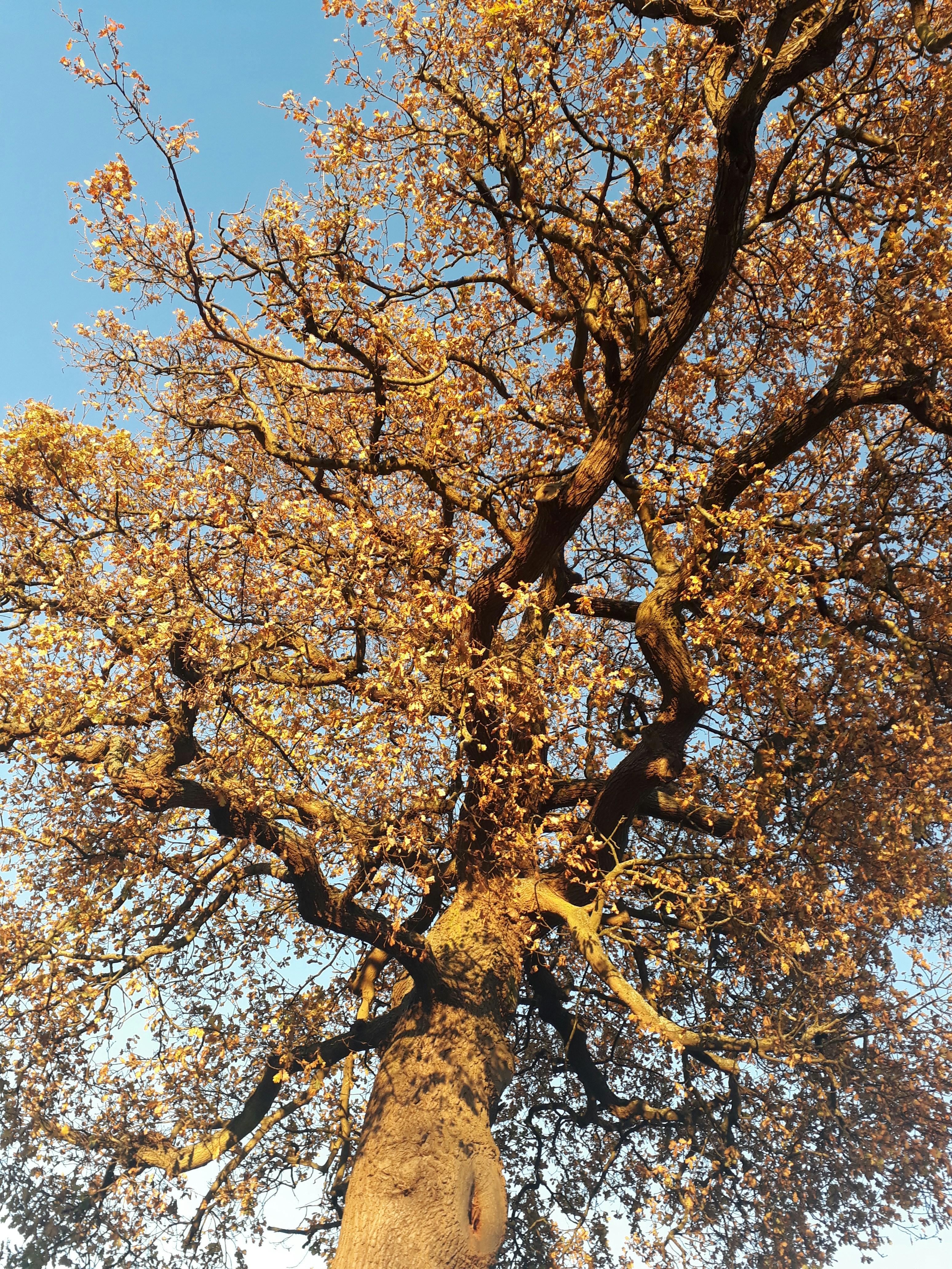 Photo by capturethesoul