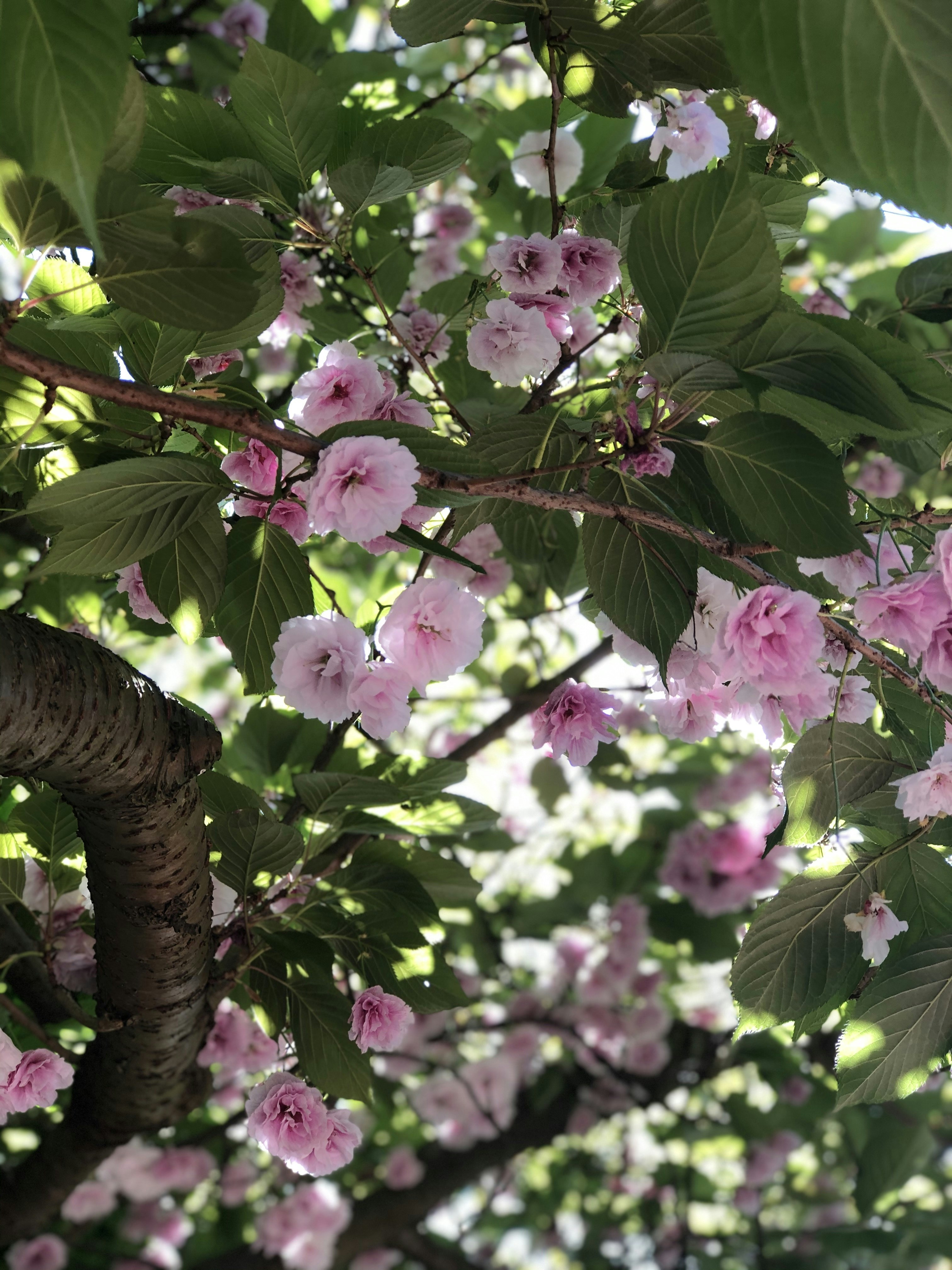 Photo by capturethesoul