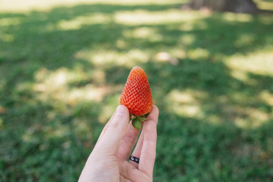 person holding red strawberry fruit
