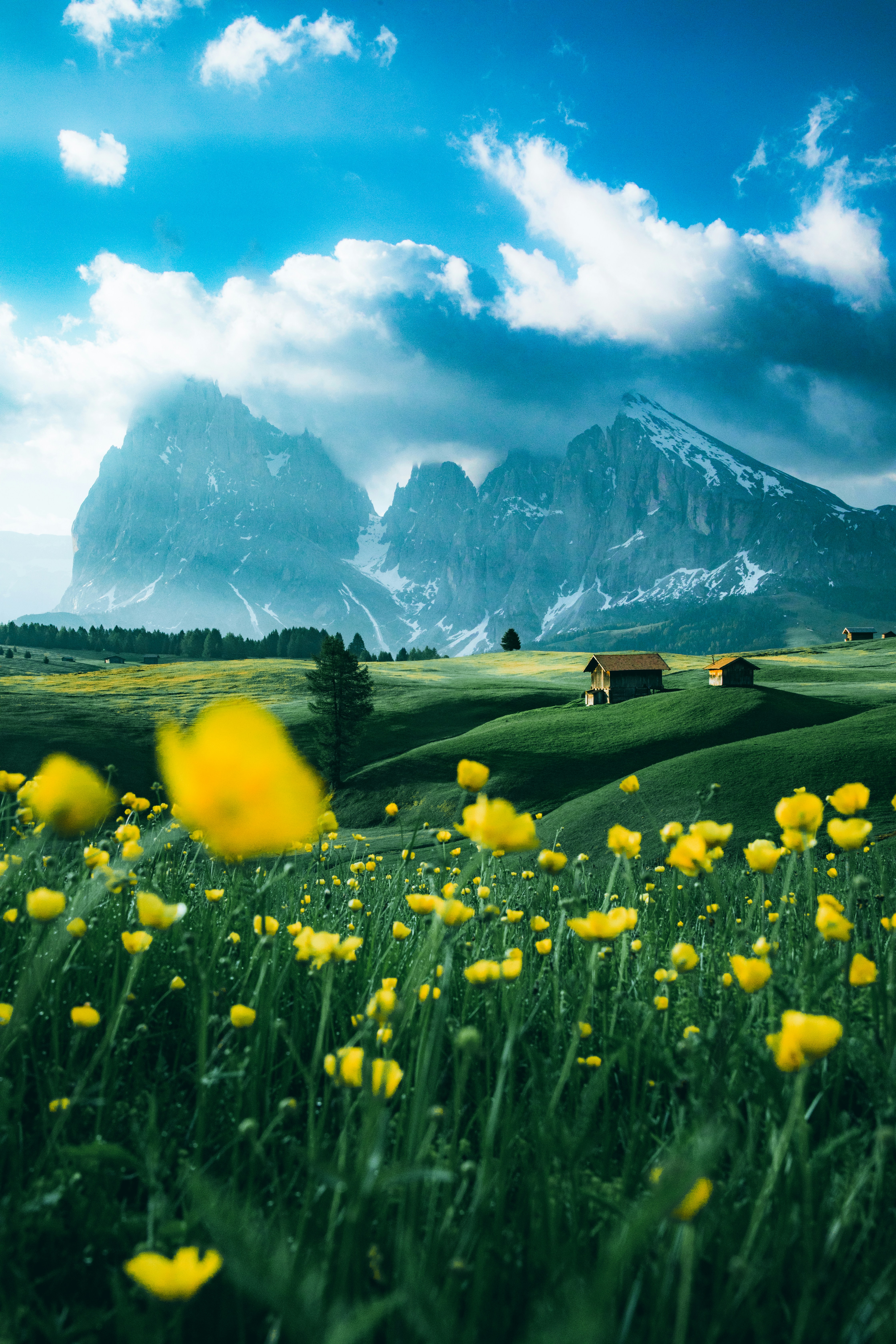 @thomasbennie_ (instagram) Alpe Di Siusi in Italy