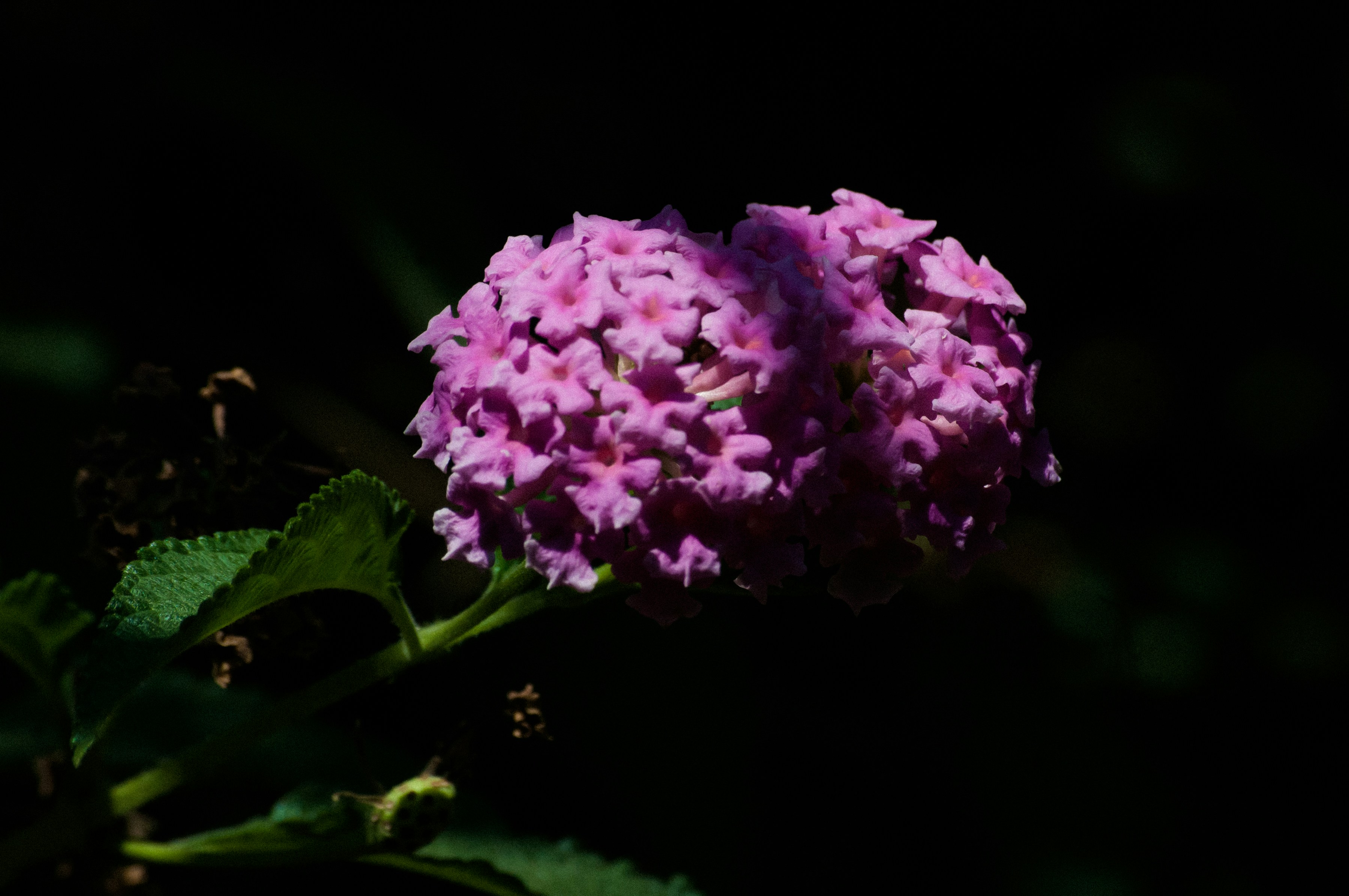 Photo by juanmanunez