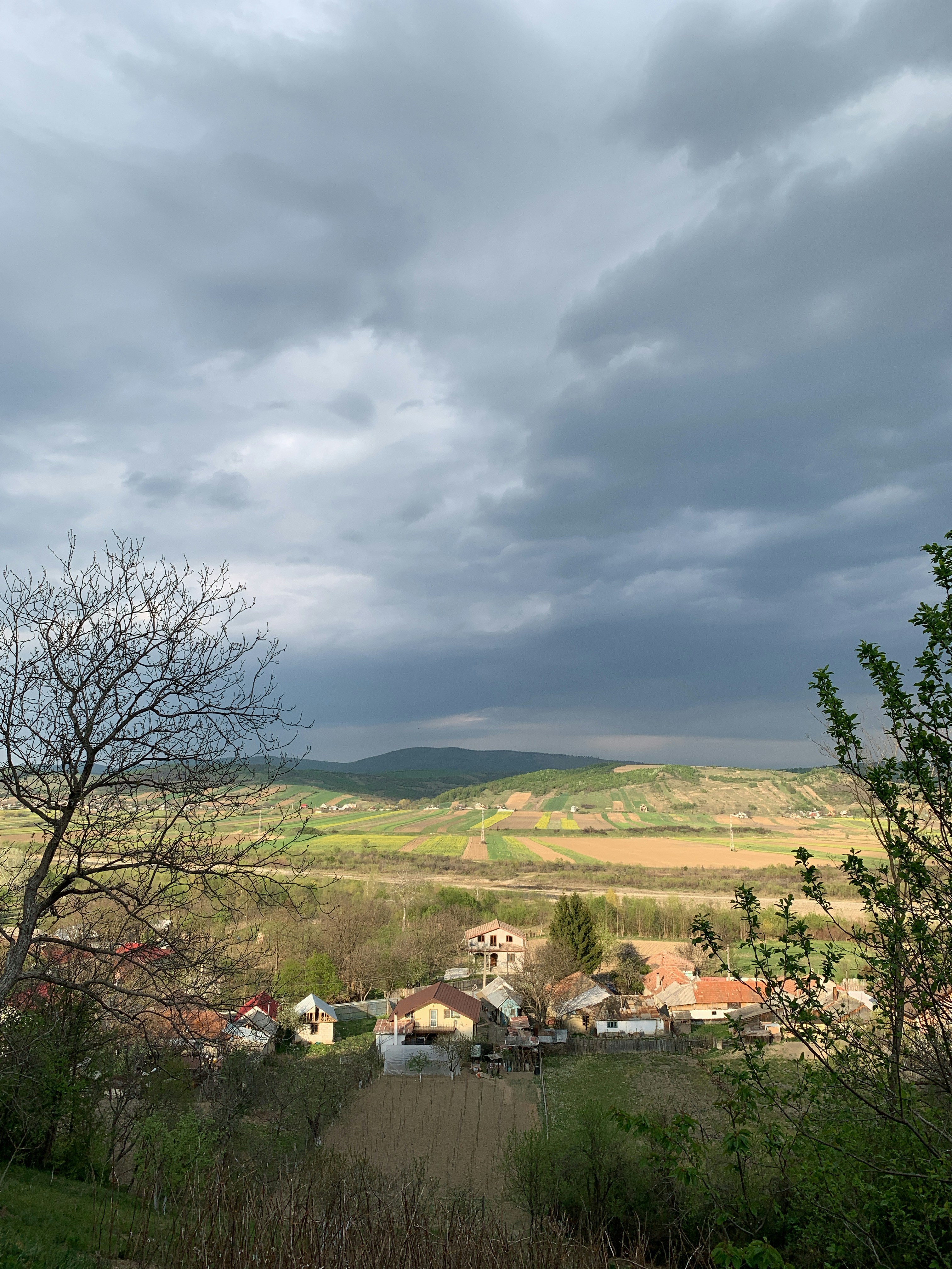 Photo by vesstally