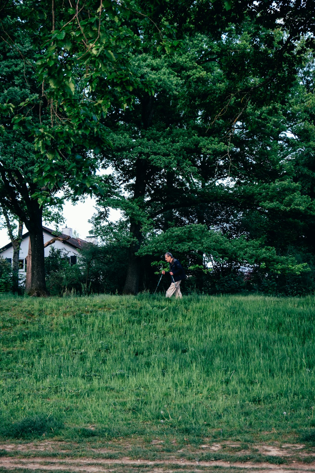 man and woman walking on green grass field surrounded by green trees during daytime