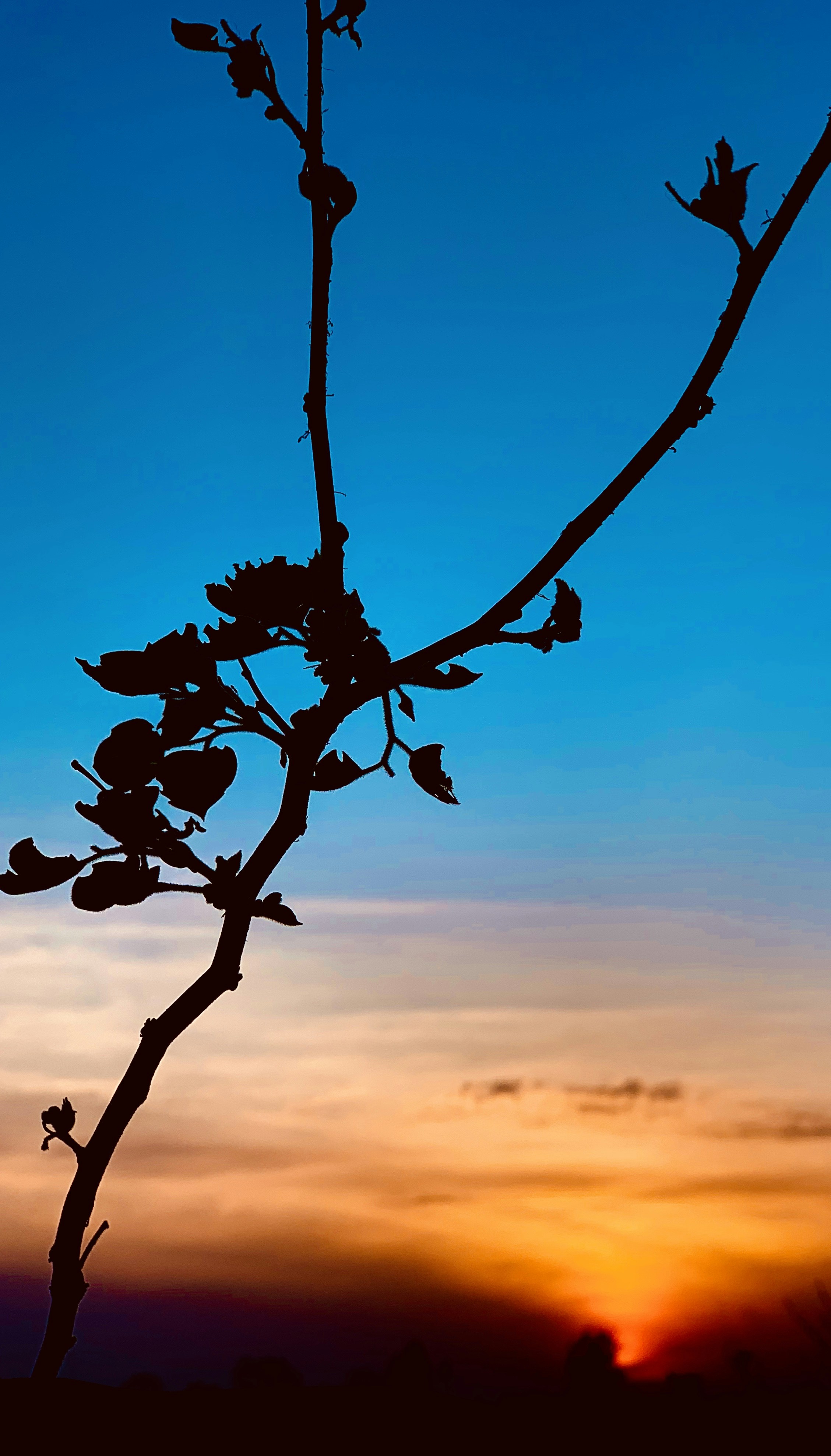 Photo by leathertramp