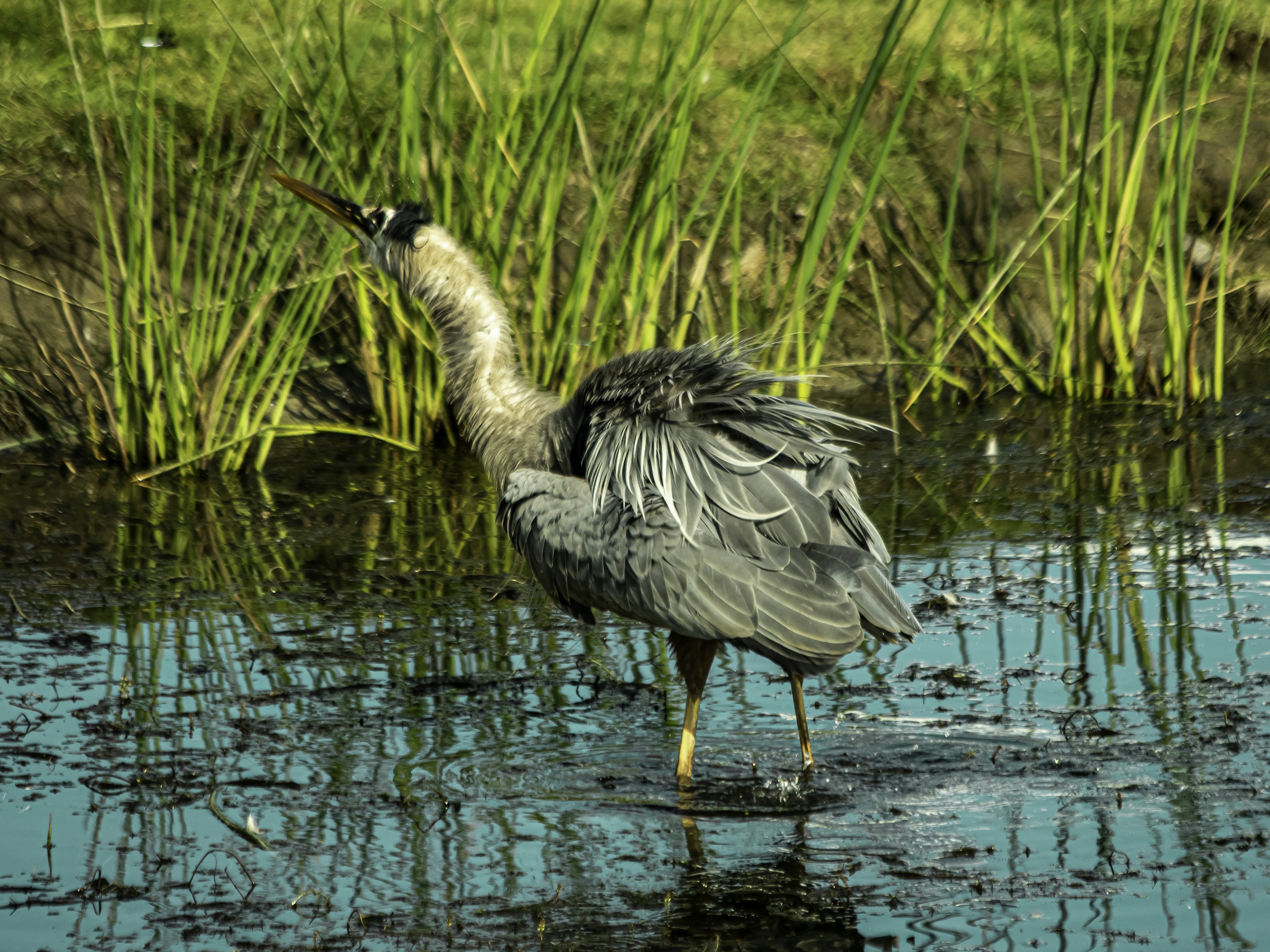 Photo by camerauthor