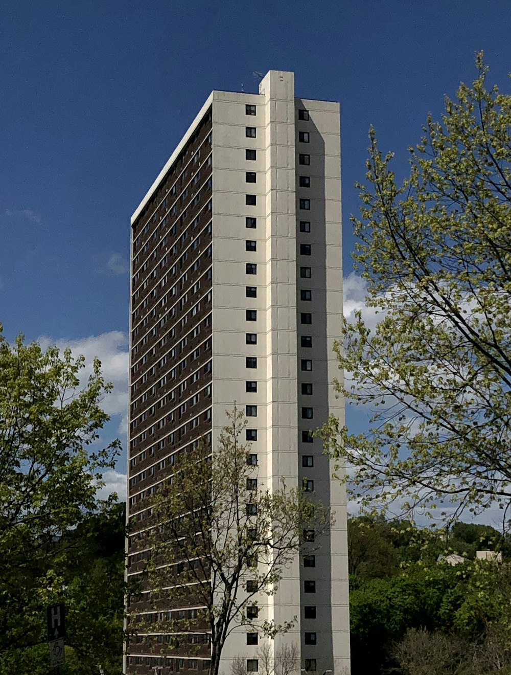 brown and white concrete building