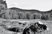 A peaceful riverside scene symbolizing spiritual renewal and flowing grace.