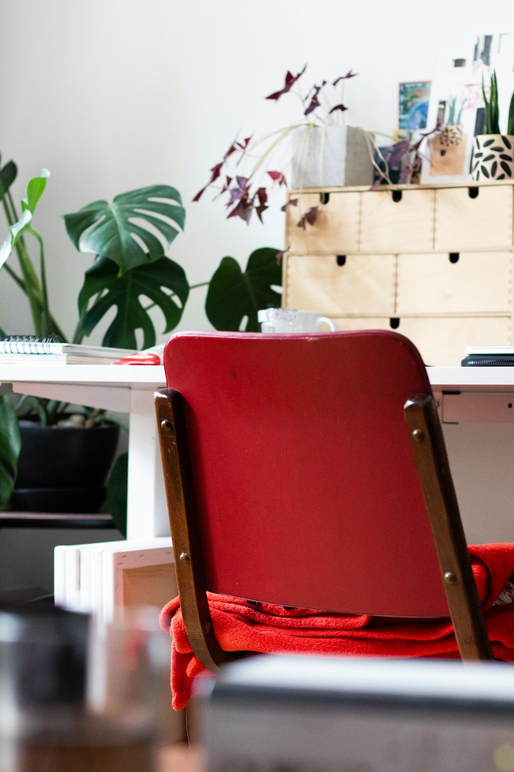 roter und schwarzer Stuhl in der Nähe von grüner Zimmerpflanze